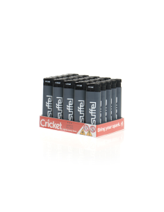 Elektrisches Feuerzeug (25 Stk.)